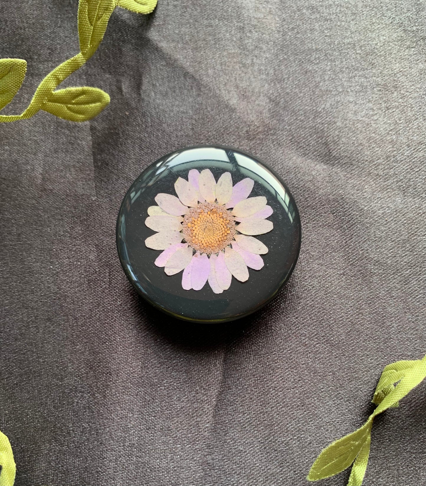 Mobile Pop Socket